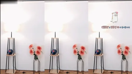 AfreecaTV主播秋天BJ박가을2019年12月25日直播视频舞蹈剪辑00592521